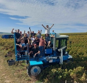 Les Vendanges