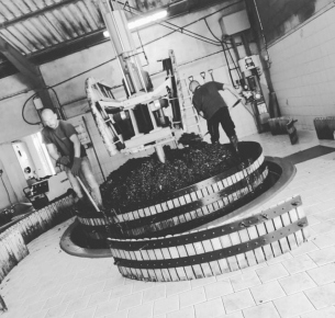 La vinification, un savoir faire familial
